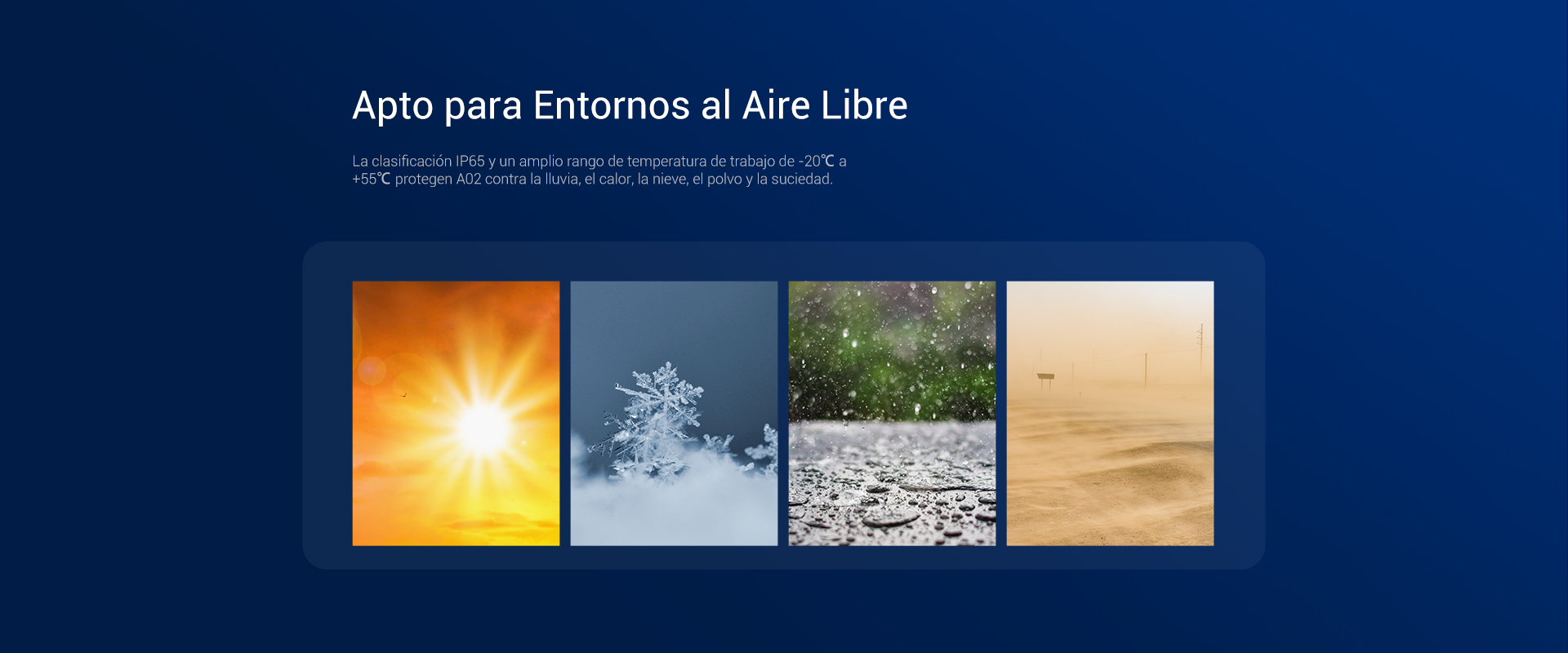 Imagen 5
