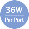 36 W por puerto