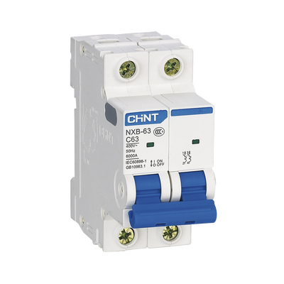 [NXB632PC16] Pastilla para Riel Din, 2 Polos, 16 Amp, Vca:110/415v, 6kA, Catálogo: NXB632PC16.